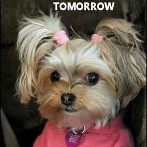 Meet your Posher, Denise